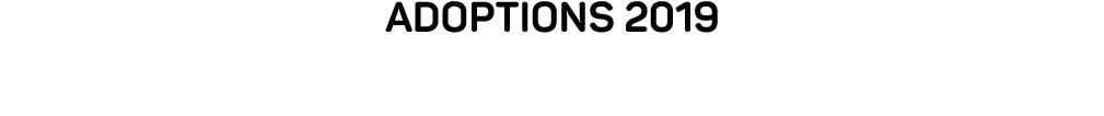 ADOPTIONs 2019