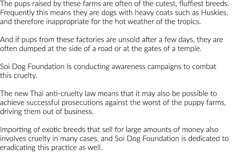 The pups raised by these farms are often of the cutest, fluffiest breeds  Frequently this means they are dogs with he   